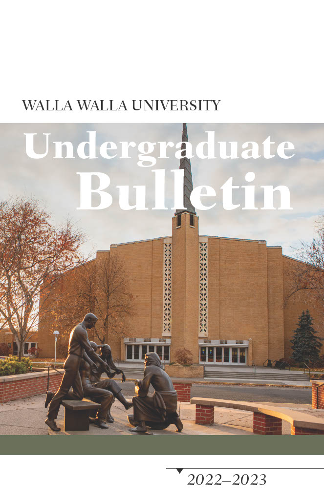 Undergraduate Bulletin Cover, church, statues, university